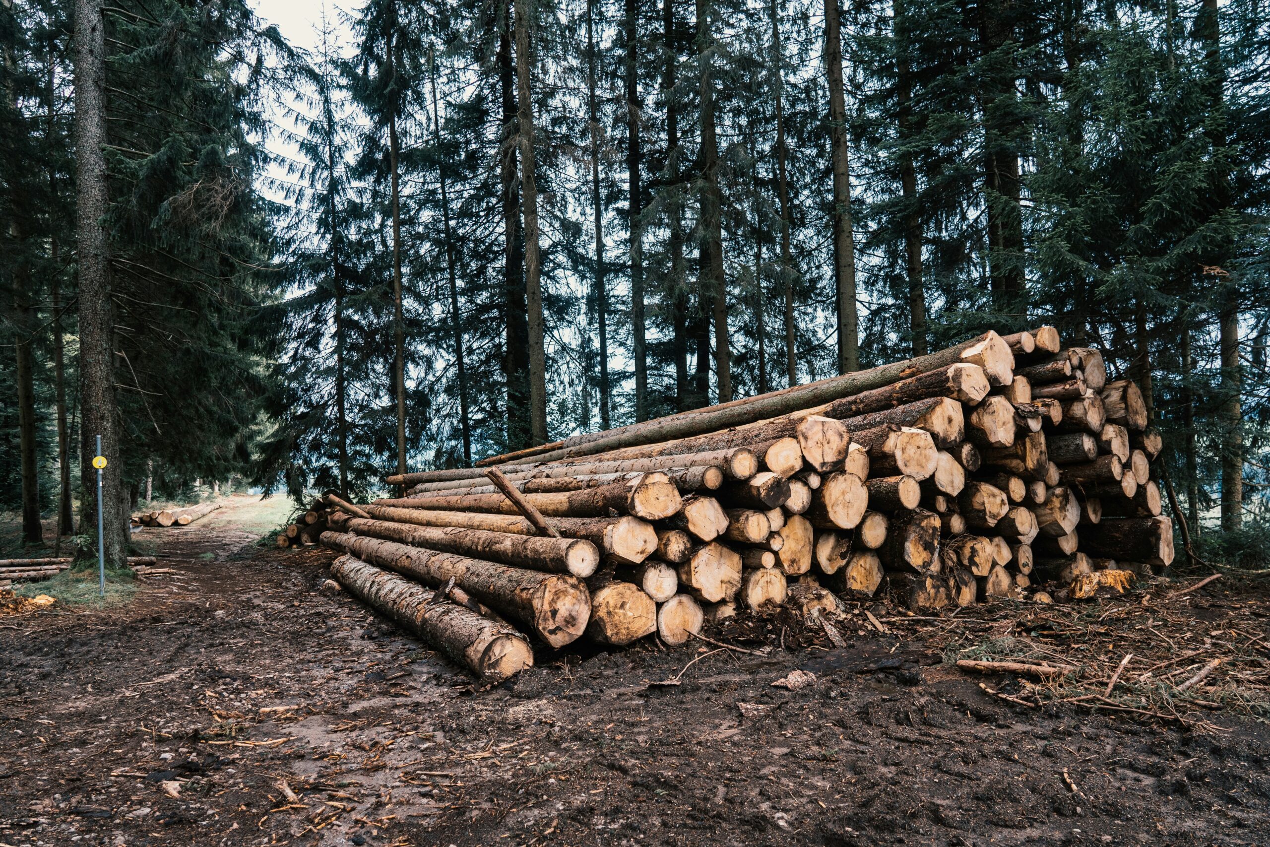 The Logging Fleet Secrets That Are Increasing Profits and Cutting Downtime